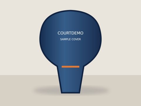 Blue racket cover — synthetic demo